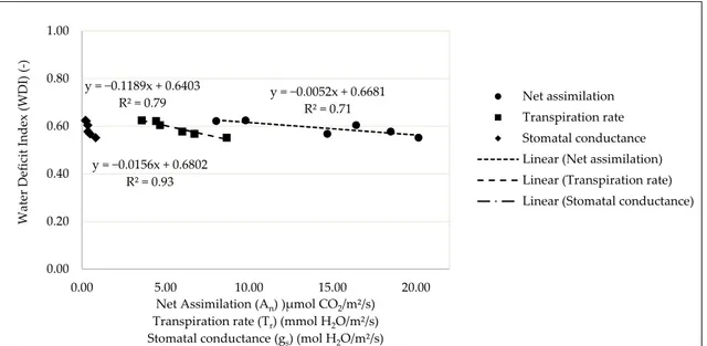 Figure 2. The parameters of linear regression (R²—correlation coefficient) between leaf gas exchange 