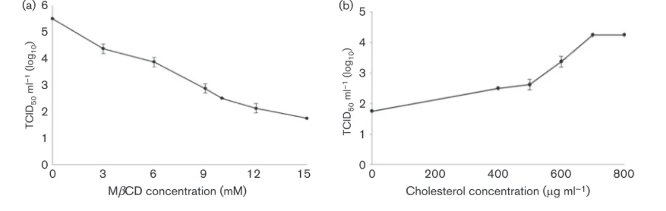 Fig. 1. CCoV infection efficiency after cholesterol depletion and replenishment from cellular membrane