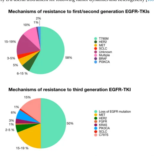 Figure 1. Mechanisms of resistance to EGFR-TKIs and their frequencies. Human Epidermal Growth Factor Receptor 2 (HER2), Mesenchymal Epithelial Transition [MET], Small Cell Lung Cancer (SCLC), RAF murine sarcoma viral oncogene homolog B1 (BRAF), Phosphatidy