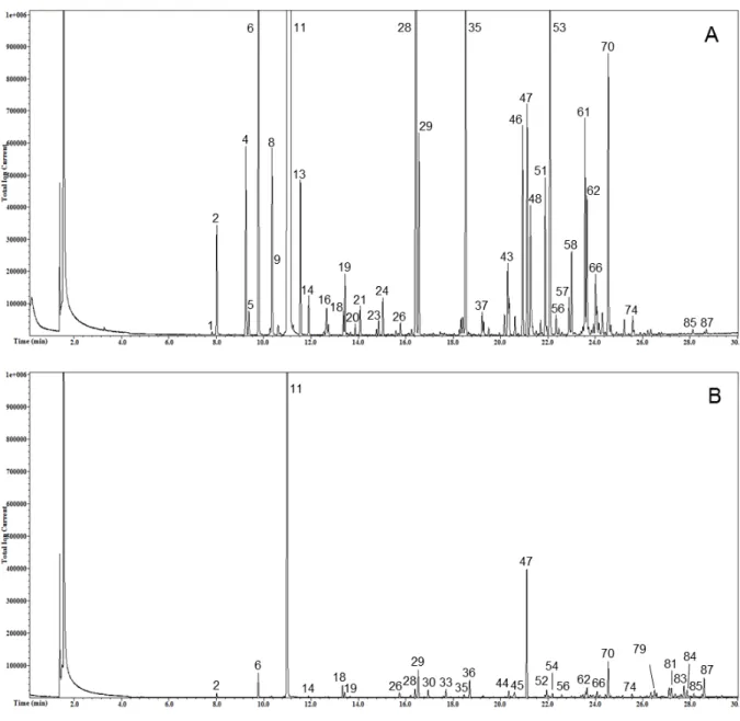 Figure 1: SPME-GC/MS profiles of kumquat peel liqueur (A) and kumquat whole fruit liqueur (B)