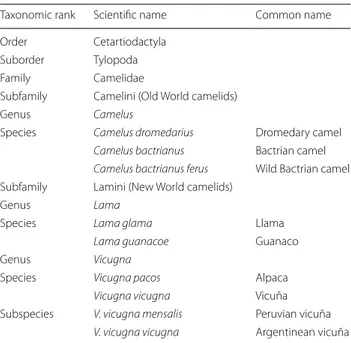 Table 1 Taxonomic classification of camelids and other 