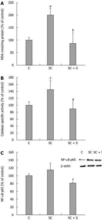 Figure 5  Effects of silybin on oxidative stress markers. In control and 