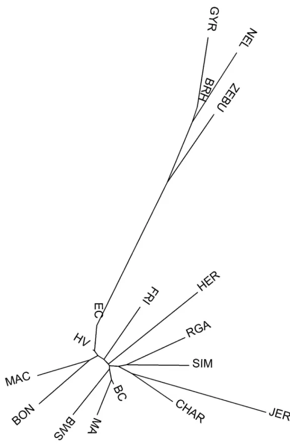 Fig 4. Neighbor-joining dendrogram constructed from the Reynolds genetic distances between 17 cattle breeds