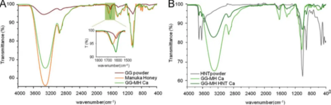 Fig. 1. FT-IR/ATR characterization. The spectra of the relevant samples are reported in (A) and (B).
