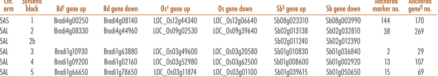 Table 5. Major colinearity breaks between 5A chromosome (Chr.) of wheat and Brachypodium, rice, and sorghum.