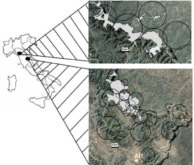 Figure 1 – Dogs and wolves share the same territory: the circles represent the home range of different wolf packs obtained from snow tracking, wolf howling and genetic analysis data (LIFE07NAT/IT/000502 “Improving the conditions for large carnivore conserv