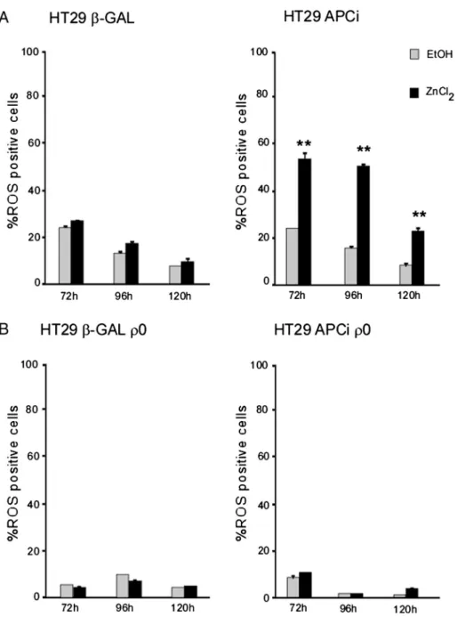 Fig. 6. Mitochondrial respiratory chain is needed for the APC-induced increase in ROS production