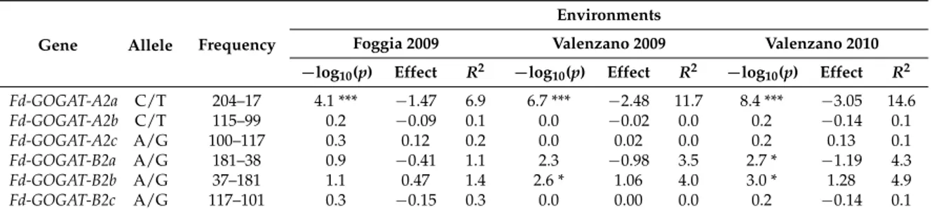 Table 3. Regression analysis between Fd-GOGAT allelic variants and GPC (% DW −1 ) in a tetraploid wheat collection evaluated in three different environments.