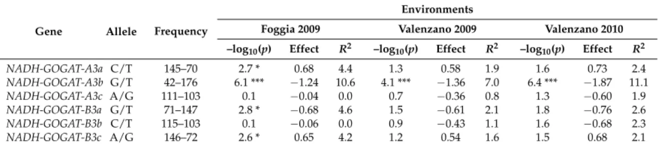 Table 4. Regression analysis between NADH-GOGAT allelic variants and GPC (% DW −1 ) in a tetraploid wheat collection evaluated in three different environments.