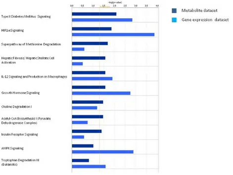 Figure 5. Pathway comparative analysis performed intersecting urinary metabolite dataset with the 