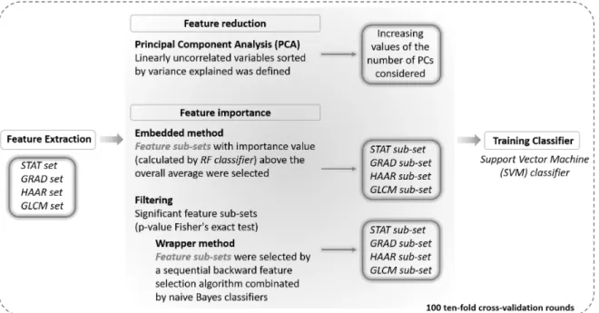 Figure 3. Schematic overview of the radiomic analysis approach. Textural features automatically extracted from each ROI in the first step (Figure 2 ) are analyzed by using a principal components analysis and a feature importance process by means of two dif