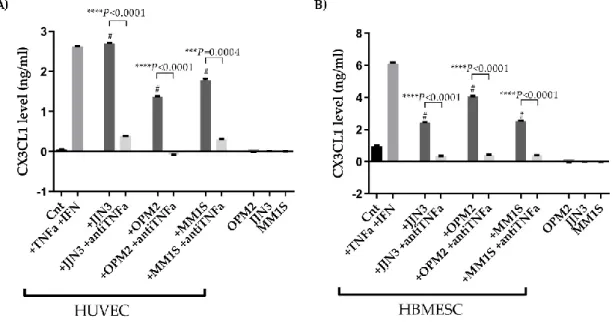 Figure 4. MM cells increase the angiogenic activity of ECs through CX3CL1 production. HUVEC (A)  and HBMESC (B) were treated for 24 h with TNFα (50 ng/ml) and IFNγ (10 ng/ml), as positive control,  and with CM of HMCLs (JJN3, OPM2, and MM1S) in presence or