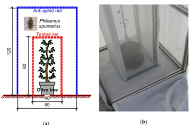 Figure 2. Net box used for field test: (a) construction scheme and (b) picture. Units are in cm; the image of the insect in the construction scheme is not to scale.