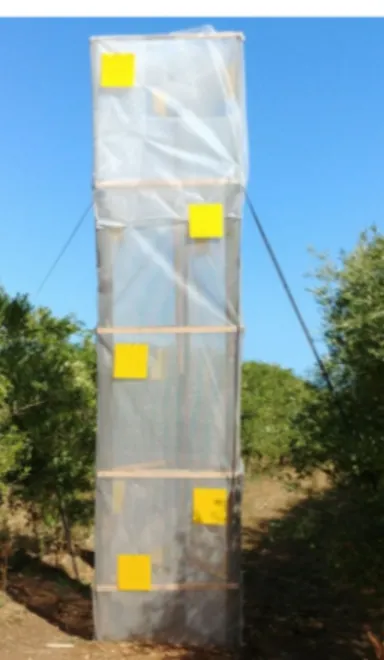 Figure 3. Wooden frame covered with the net and yellow sticky traps at different heights.