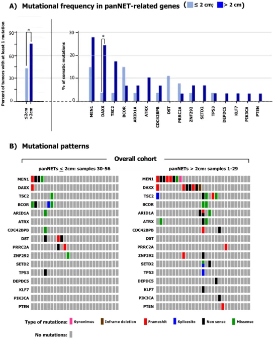 Figure 1.  Mutational patterns in panNETs ≤2 cm and &gt;2 cm. (A) The number of mutations identified in 