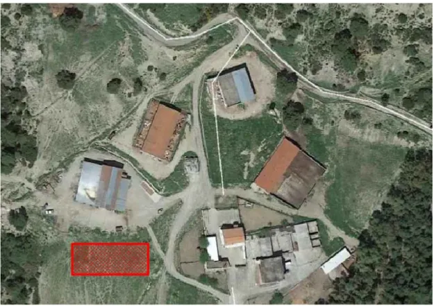 Figure 1. Satellite photo of the area in which the stable will be built (Source: Google 