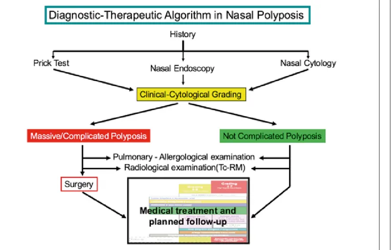 Fig. 2. Diagnostic and therapeutic algorithm for nasal polyposis. 