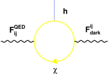 Figure 1. Kinetic mixing mechanism; χ is a dark matter particle, F QED ij and F