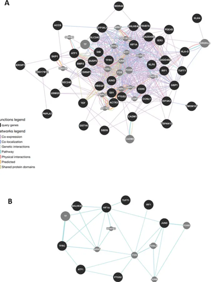 Figure 4: Gene network analysis in normal tissue of tumoral thyroids.  A. General analysis was based on protein-protein  interaction and pathway databases with the nucleocytoplasmic transport-related genes (1.29-fold; P,0.05)
