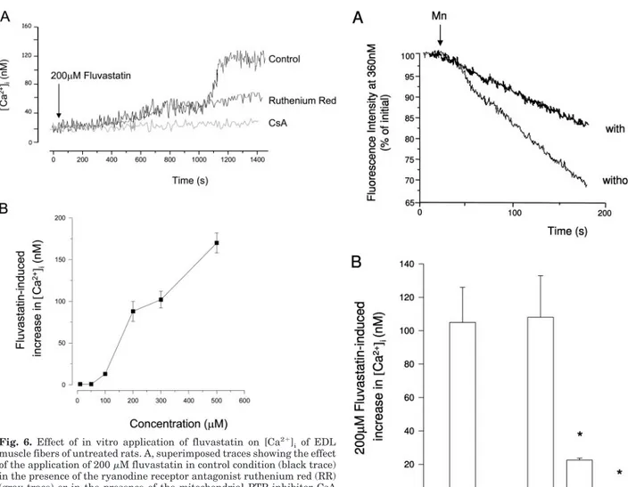 Fig. 6. Effect of in vitro application of fluvastatin on [Ca 2 ⫹ ] i of EDL