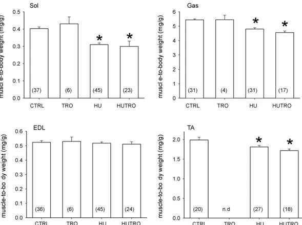 Fig. 1. Effects of HU and trolox treatment on muscle-to-body weight ratio. Each bar represents the mean ± SEM of the muscle-to-body weight ratio calculated from the number of mice indicated within brackets