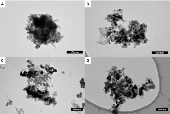 Figure 6. TEM images of (A) the pristine NSC catalyst and of samples (B) NSC_8_O 2 , (C) NSC_24_Ar,  and (D) NSC_24_O 2 