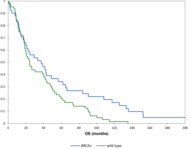 Figure 2: Kaplan–Meier curves: overall survival (brcamut vs wild type patients).