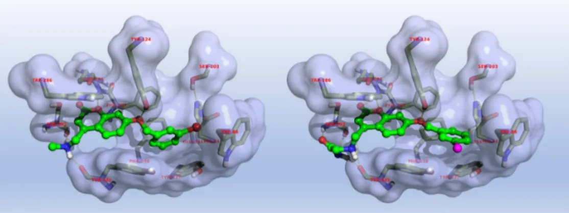 Figure 4. Electric eel AChE enzyme kinetics for compounds 8 (left) and 24 (right).