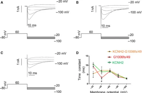 Figure 4 shows the voltage clamp protocol used to investigate  the inactivation kinetics of the KCNH2 currents and the original cur‐ rent	records	obtained	for	KCNH2	homotetramers	(A),	G1006fs/49	 homotetramers (B) and KCNH2‐G1006fs/49 heterotetramers (C)