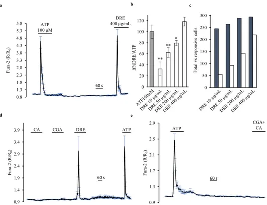 Figure 2. DRE increases intracellular Ca 2+ levels, while caffeic and chlorogenic acids do not, as measured by Fura-2 in single HEK293 cells