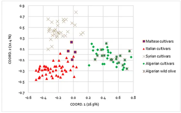 Figure 1 Principal coordinates analysis (PCoA). Differentiation among 128 Mediterranean olive