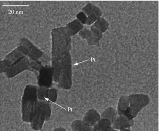Figure 5. Typical TEM image of Pt loaded TiO 2  nanoparticles.