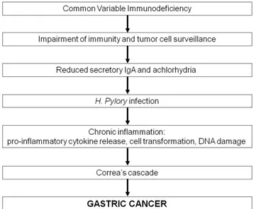 Figure 1. Hypothetical mechanisms of gastric cancer in patients with CVID.  Figure 1. Hypothetical mechanisms of gastric cancer in patients with CVID.