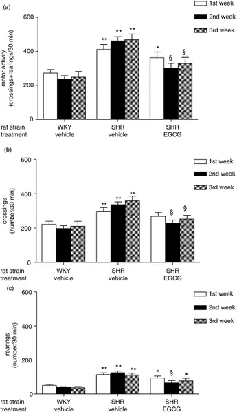 Fig. 2. Effect of chronic EGCG treatment on food intake.