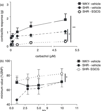Fig. 6. Effect of chronic EGCG treatment on ex vivo colonic
