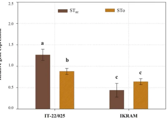 Fig. 4. Eﬀects of the genotype x strobilurin treatment interaction at T 2 sampling date