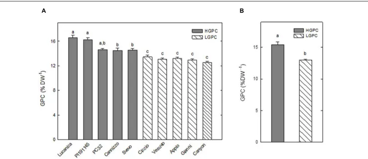 FIGURE 1 | Grain protein content (GPC) of 10 Triticum durum genotypes. (A) GPC in 10 wheat genotypes cultivated for 5 years (2009–2013)