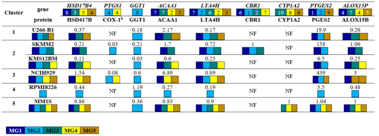 Figure 8. Protein expression in all studied cell lines (Expression values are reported with respect to  HEK293 wild type or HepG2 cell line were used as a positive control, as suggested by the antibody  data sheet, to which the value 1 has been arbitrarily