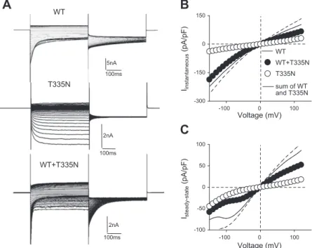 Figure 1. Current amplitude for hClC-1 WT, T335N, and WT + T335N channels in high intracellular chloride