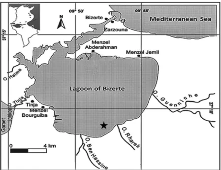 Figure 1. Map of the Bizerte Lagoon (North Tunisia). Black star: sampling site.