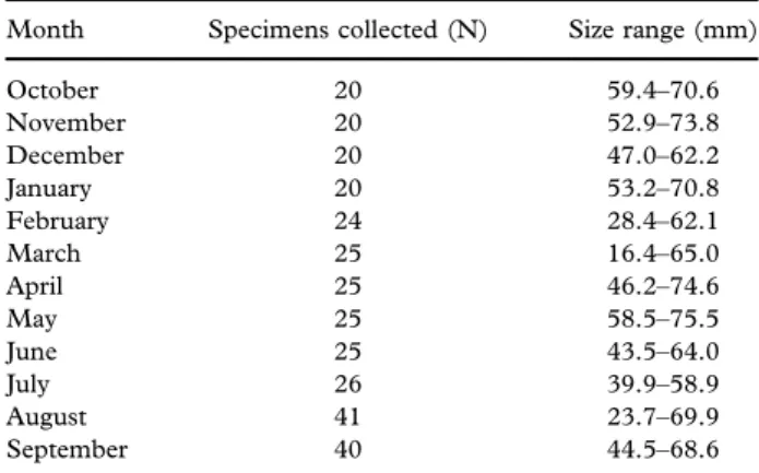 Table I. Number (N) and size range of Arca noae specimens from the Bizerte Lagoon.
