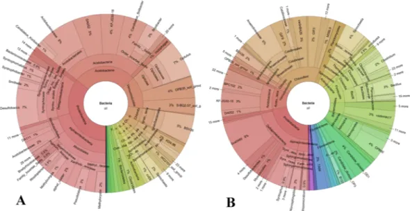 Figure 2.  Krona pie chart plots of the bacterial communities proportional abundances (%) in the shallow 