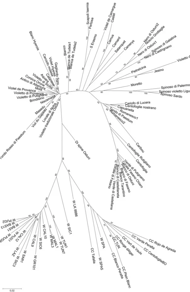 Fig 5. Neighbor-Joining tree obtained from SNP data on the whole dataset of Cynara cardunculus genotypes Number on tree