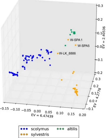 Fig 3. Graph of the first three axes from a Principal component analysis (PCA) of the 92 Cynara cardunculus