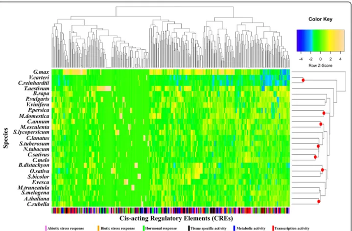 Fig. 1 Graphical representation of the occurrence of 316 MLO cis-acting regulatory elements (CREs)