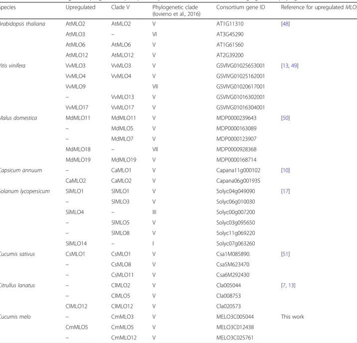Table 2 Features of MLO genes upregulated upon powdery mildew infection and/or belonging to the phylogenetic clade V
