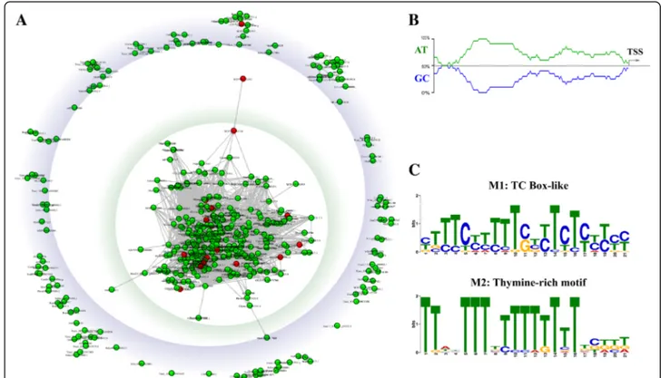 Fig. 3 Network analysis of putative promoter sequences and novel motifs discovered in the putative promoter regions (PPRs) of upregulated MLO genes