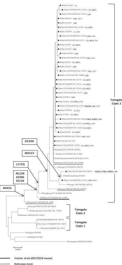 Figure 4: Phylogenetic analysis of the haemagglutinin (HA) gene of 35 B/Yamagata strains characterised in Apulia in the 2017-2018 season (black triangles)