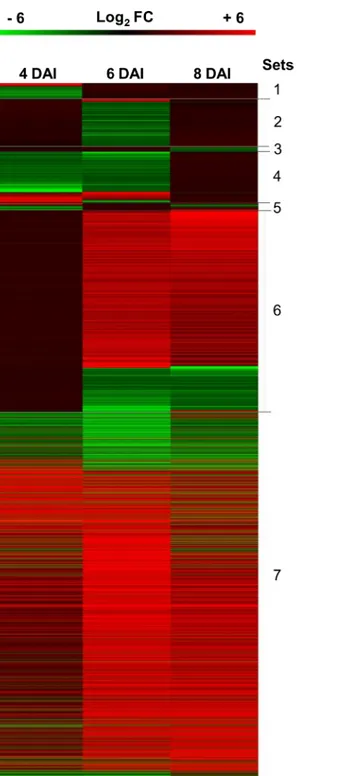 Fig 2. Heat-map showing expression profiles of DEG sets identified by the Venn diagram