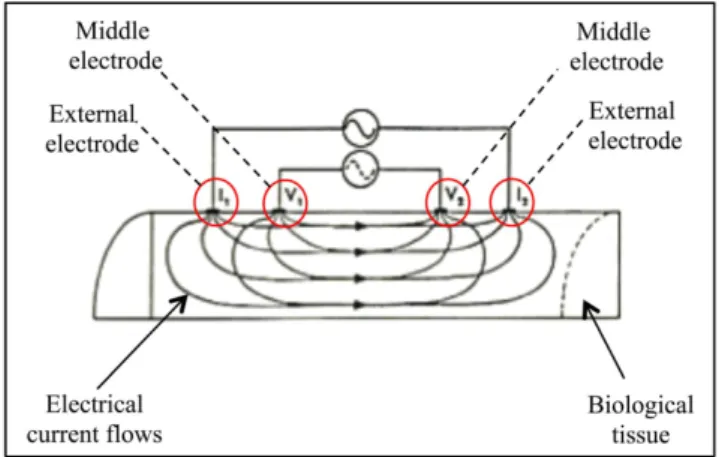 Figure 1.  SCHEMATIC REPRESENTATION OF THE PROBE  FUNCTIONING MECHANISM.  The alternating current flows 